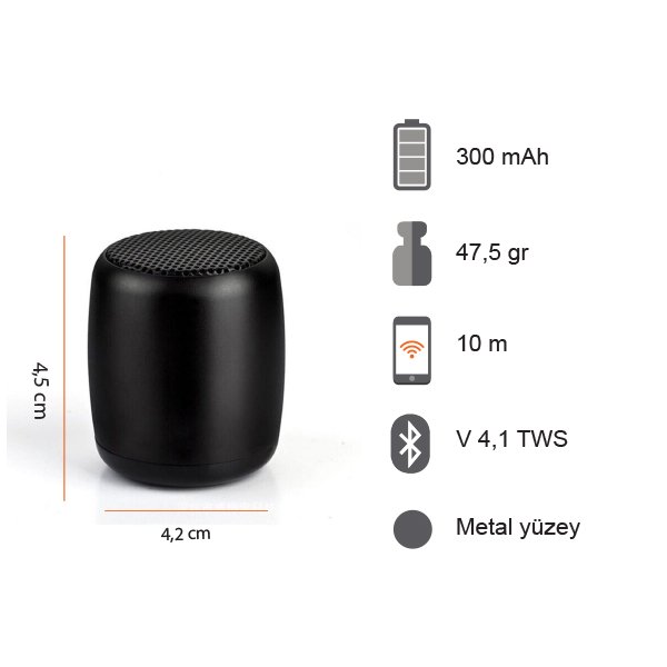 Bluetooth Hoparlör